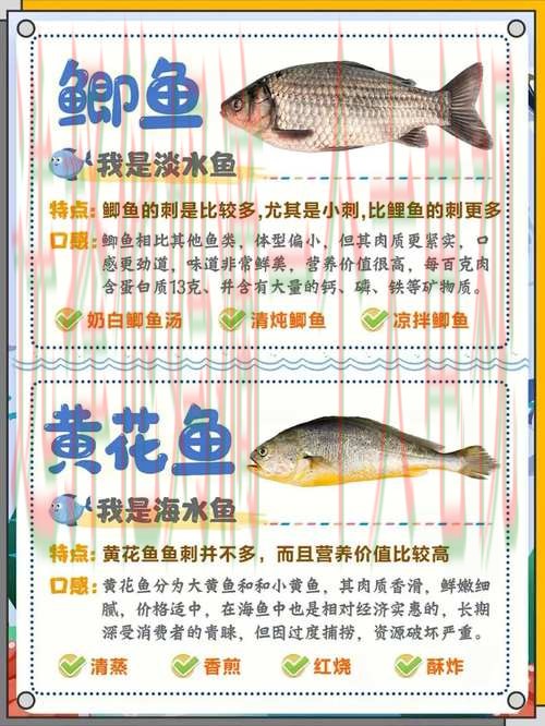 乐鱼综合版全方位解析